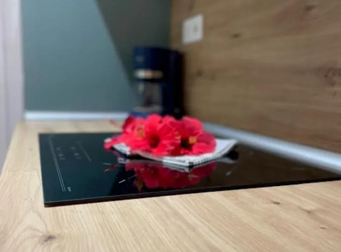 Odi's House * 코라레호