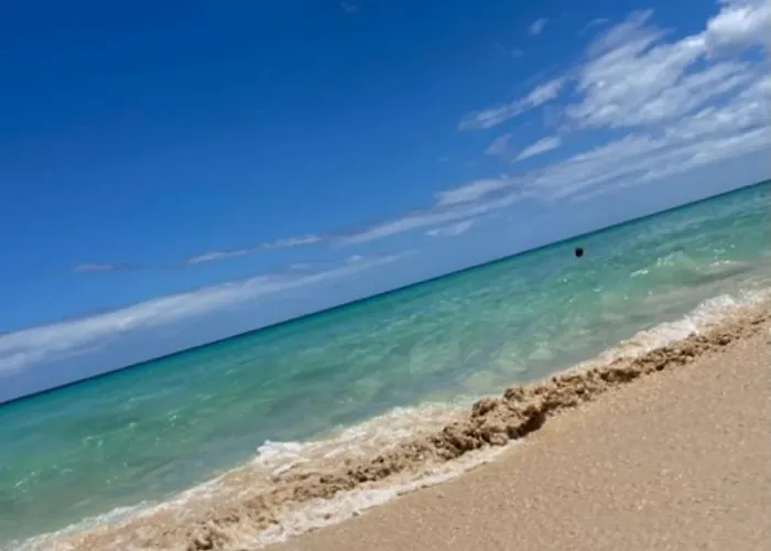 Odi's House 아파트 *