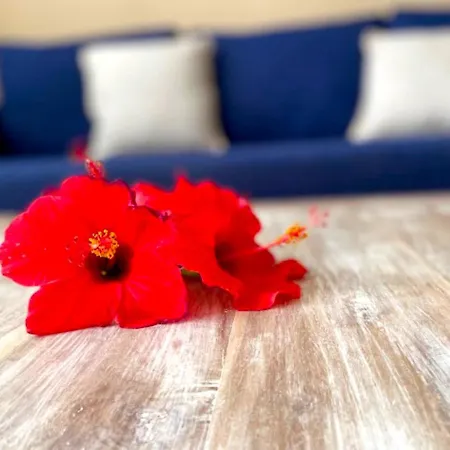 Odi's House * Corralejo