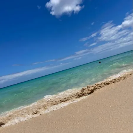 Odi's House Appartement *